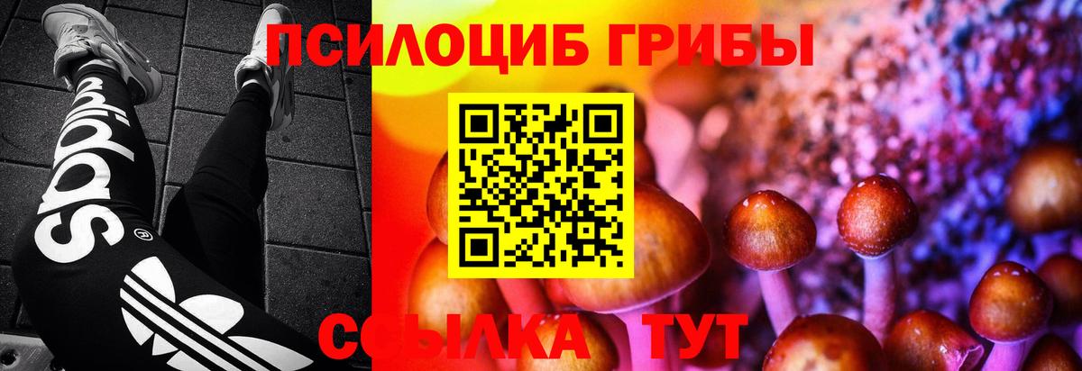 Ноябрьск  Галлюциногенные грибы Psilocybe  где можно купить наркотик  Вход с VPN 