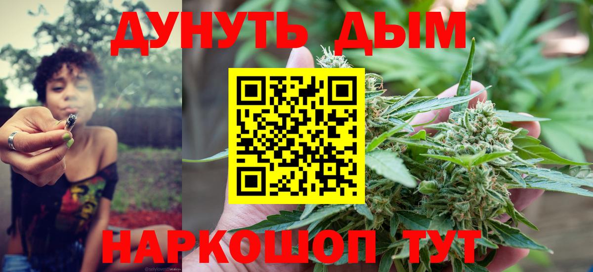 Бошки марихуана марихуана Ноябрьск